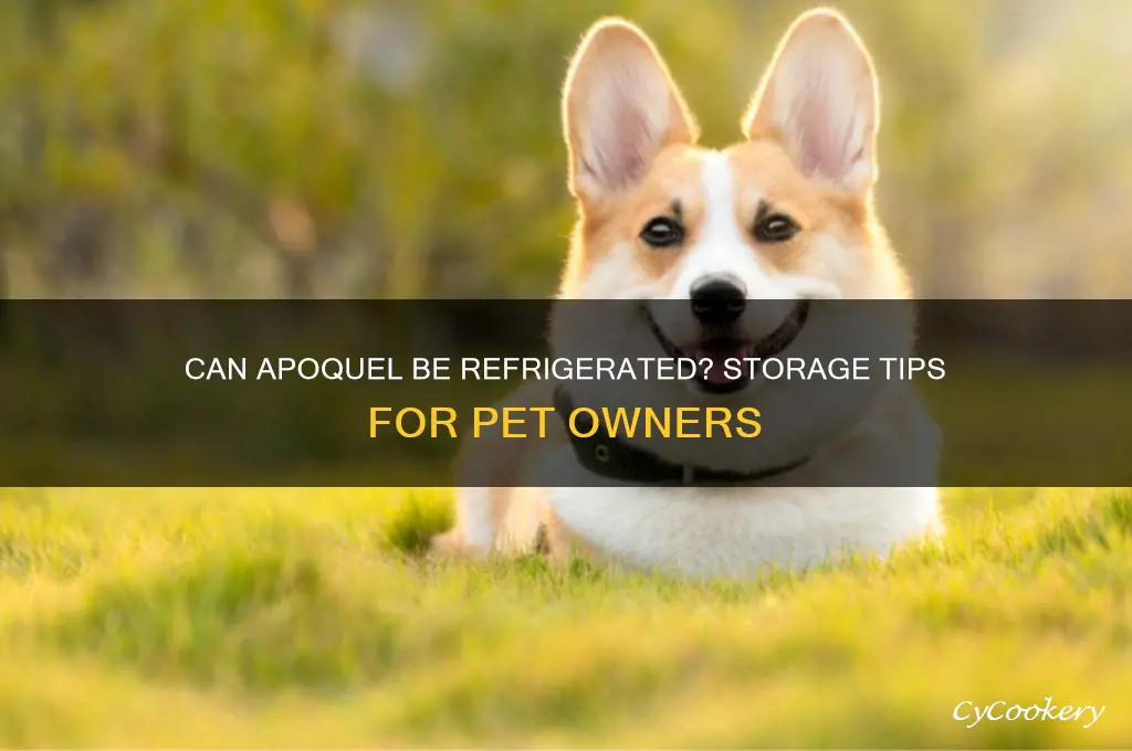 can apoquel be refrigerated