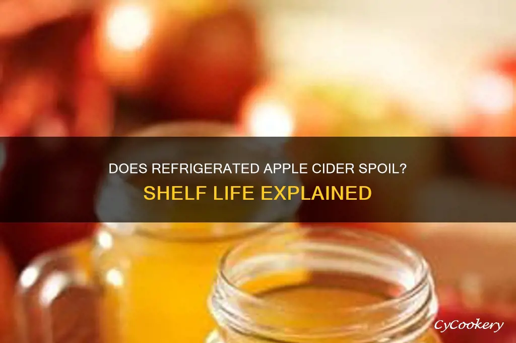 can apple cider go bad in the refrigerator