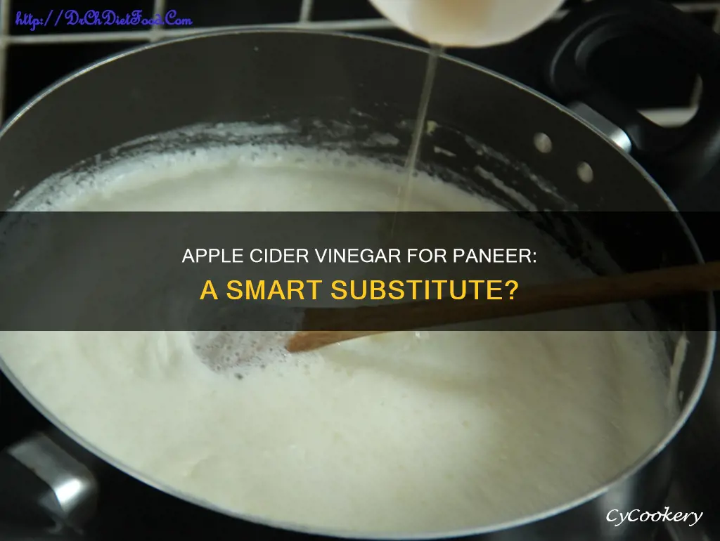 can apple cider vinegar be used to make paneer