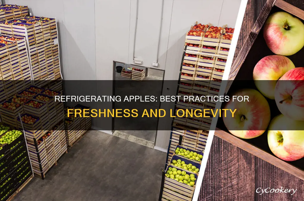 can apples be kept in the refrigerator