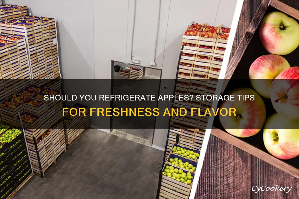 can apples be refrigerated