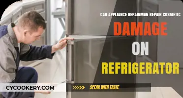 Can Appliance Repairmen Fix Cosmetic Damage on Your Refrigerator?