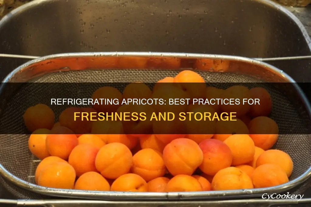 can apricots be refrigerated