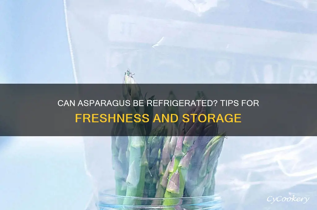 can asparagus be refrigerated
