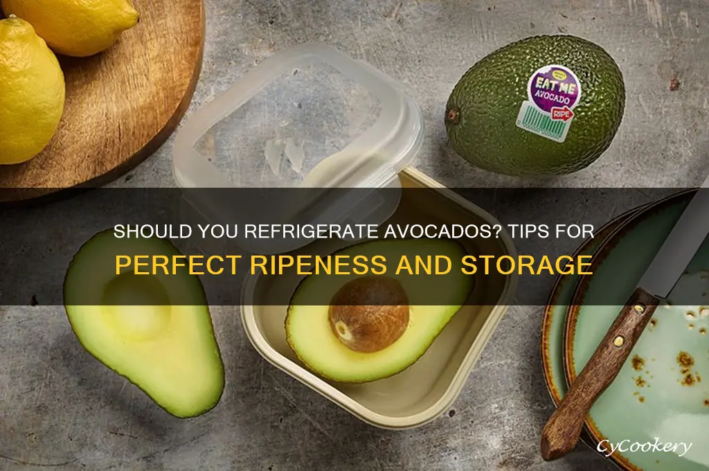 can avacados be refrigerated