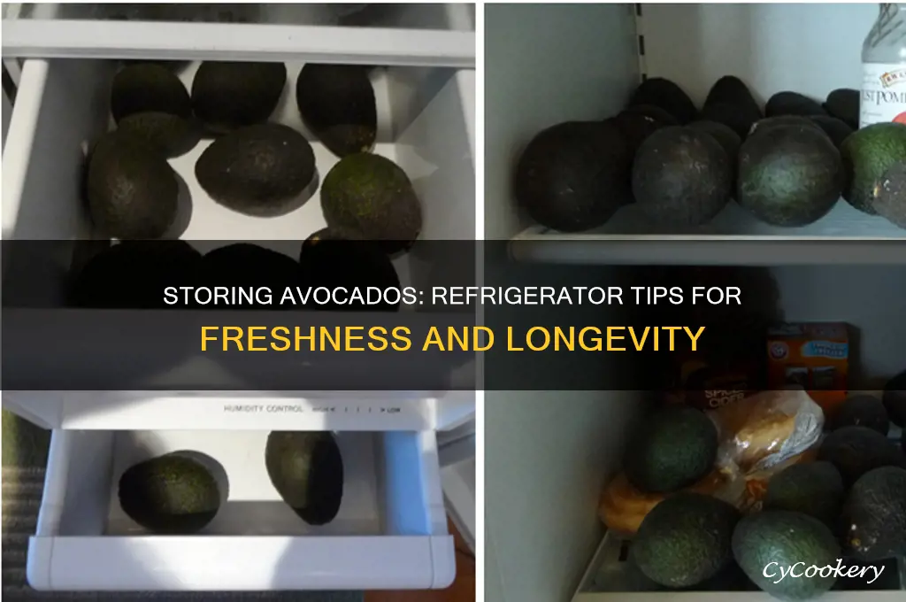 can avocado be stored in refrigerator