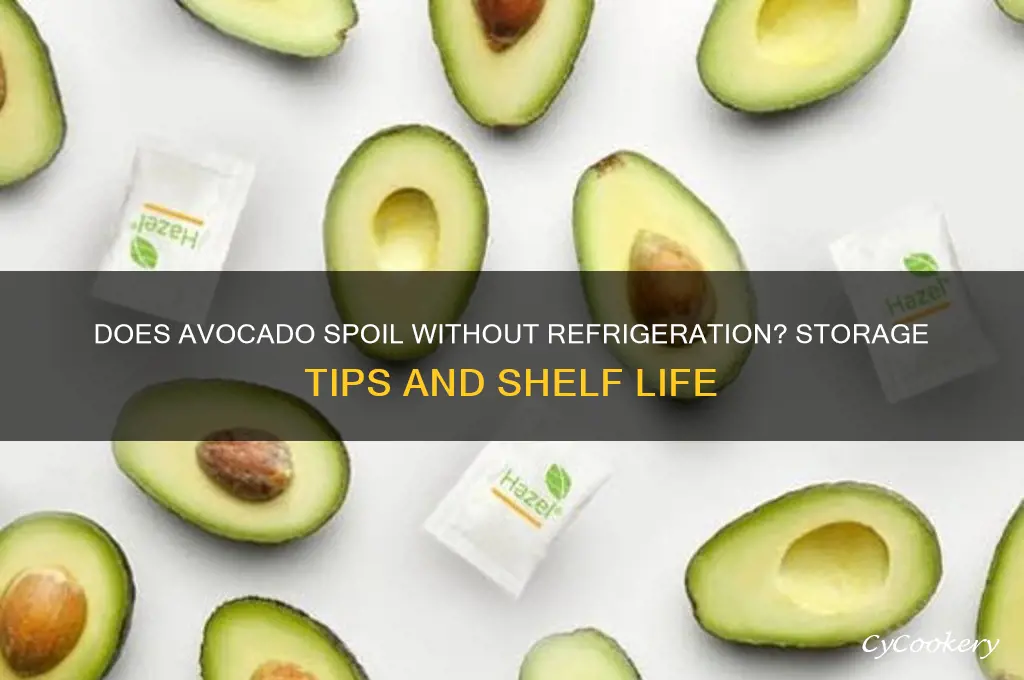 can avocado go bad if not refrigerated