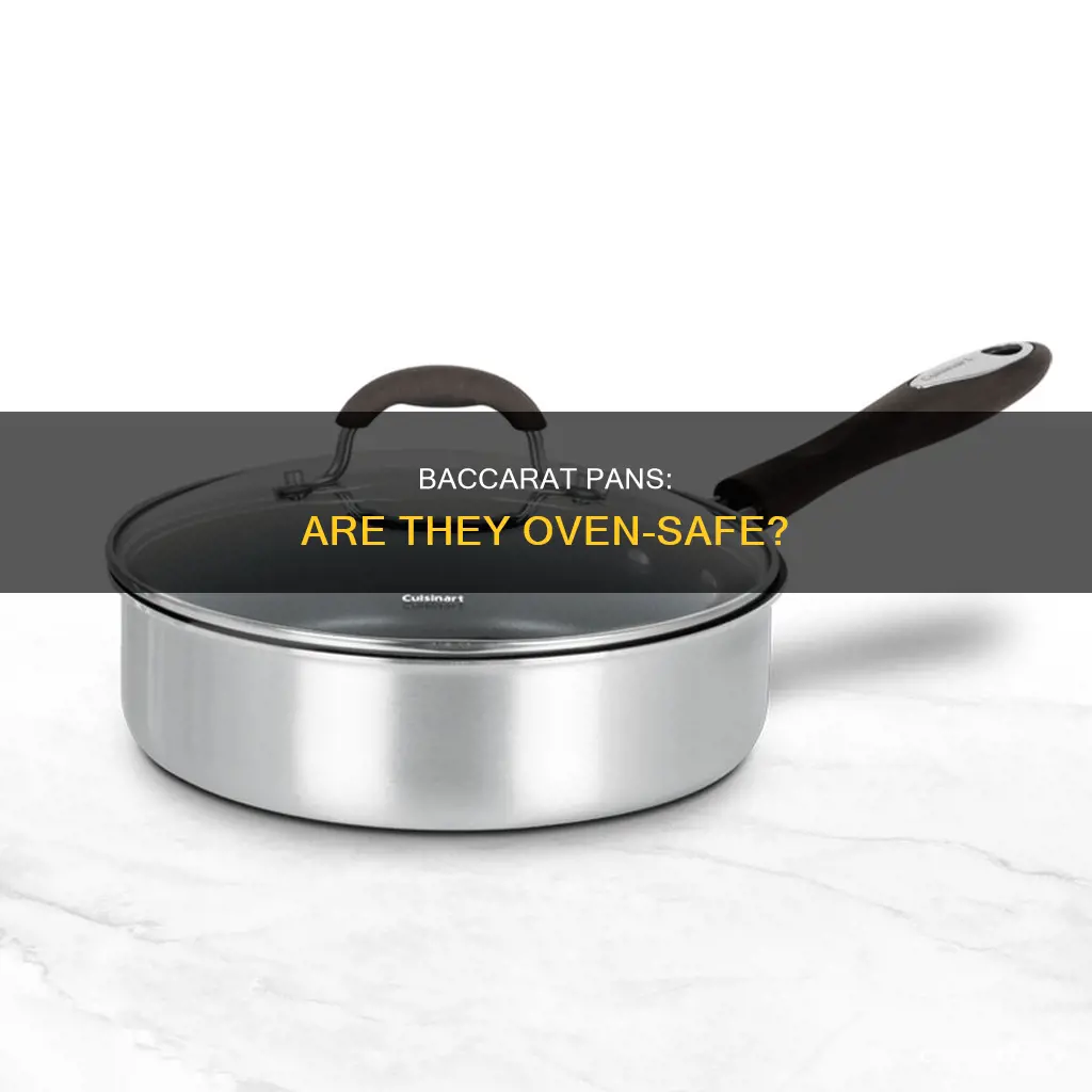 can baccarat pans go in the oven