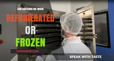 Refrigeration and Freezing: Do These Methods Kill Bacteria Effectively?