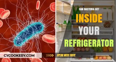 Can Bacteria Invade Your Fridge? Surprising Facts You Need to Know