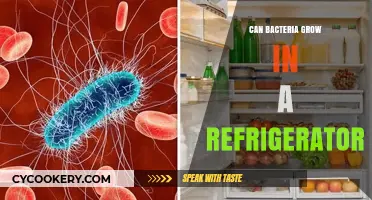 Can Bacteria Thrive in Your Fridge? The Chilling Truth Revealed