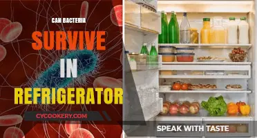 Can Bacteria Thrive in Your Fridge? Surprising Survival Facts Revealed