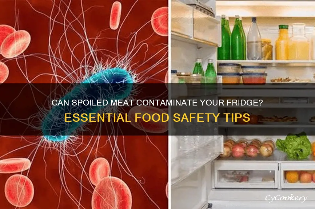 can bad meat contaminate refrigerator