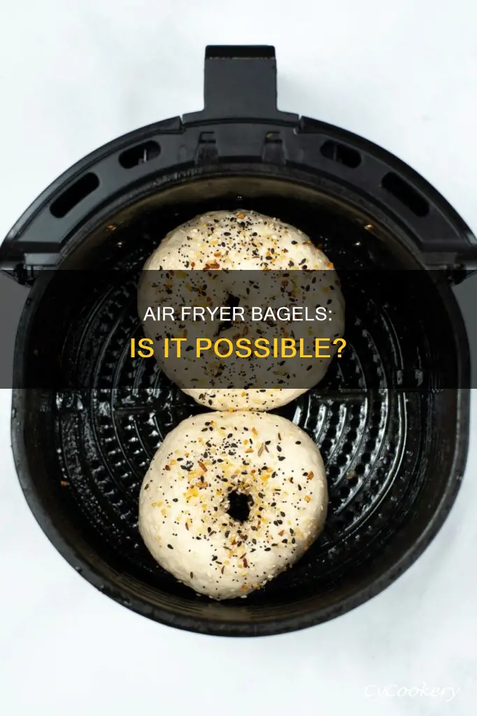 can bagels go in the air fryer