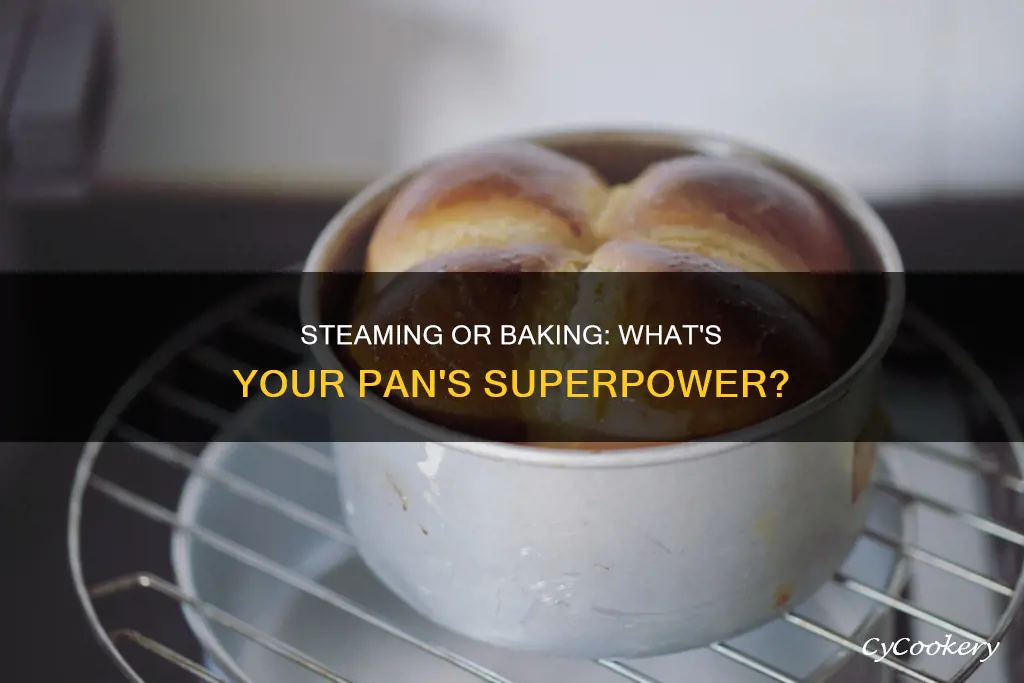 can bake pan can steam