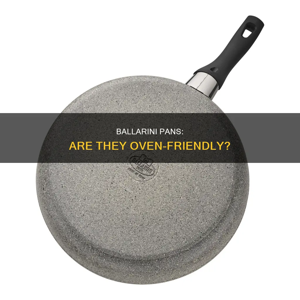 can ballarini pan go in oven