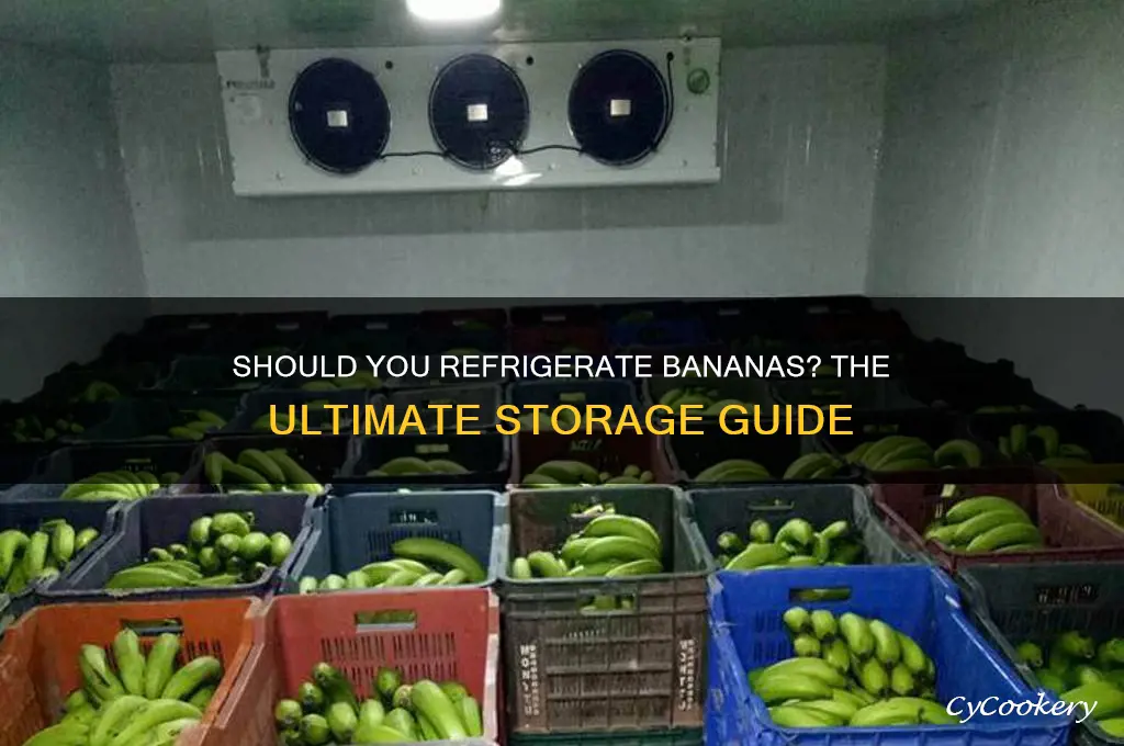 can banans be stored in the refrigerator