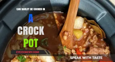 Barley in a Crock Pot: How to Cook It?