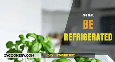 Refrigerating Basil: Best Practices to Keep It Fresh Longer
