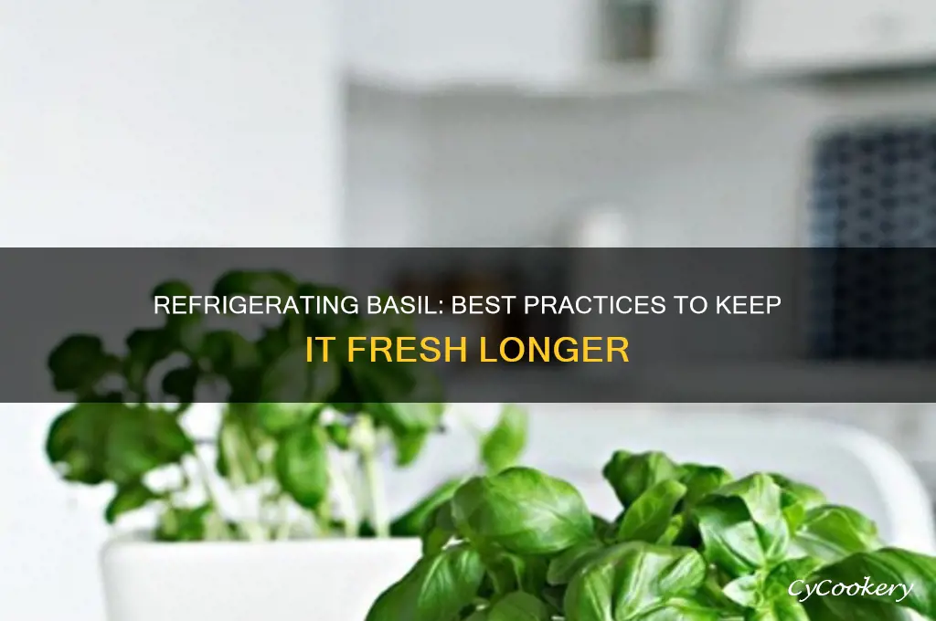 can basil be refrigerated
