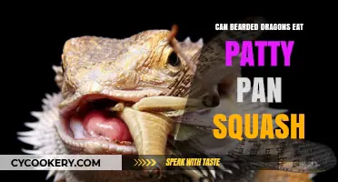 Bearded Dragons and Patty Pan Squash: A Healthy Treat?