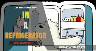 Can Bears Detect Food Inside Refrigerators? Unveiling the Myth