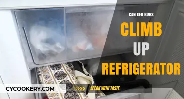Can Bed Bugs Climb Up Refrigerators? Surprising Facts Revealed