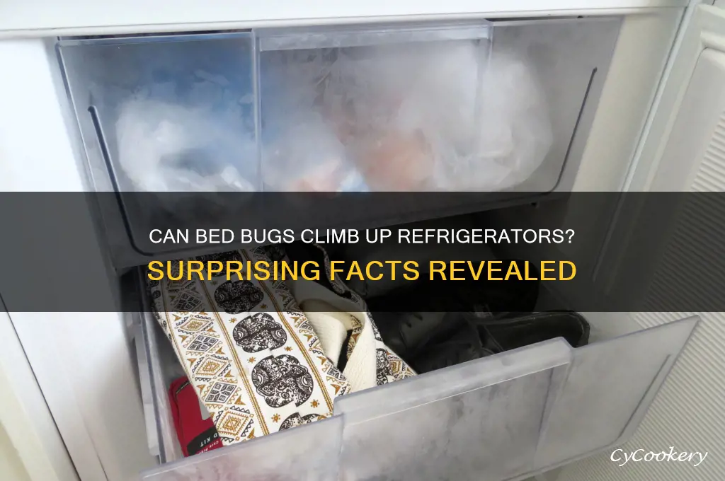 can bed bugs climb up refrigerator
