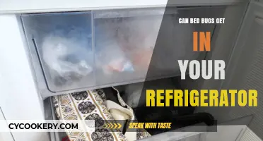 Can Bed Bugs Invade Your Refrigerator? Uncovering the Truth