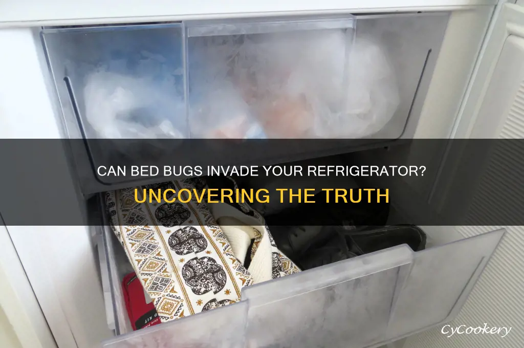can bed bugs get in your refrigerator