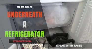 Can Bed Bugs Hide Underneath Your Refrigerator? Find Out Here