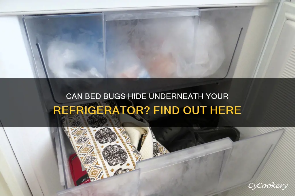 can bed bugs go underneath a refrigerator