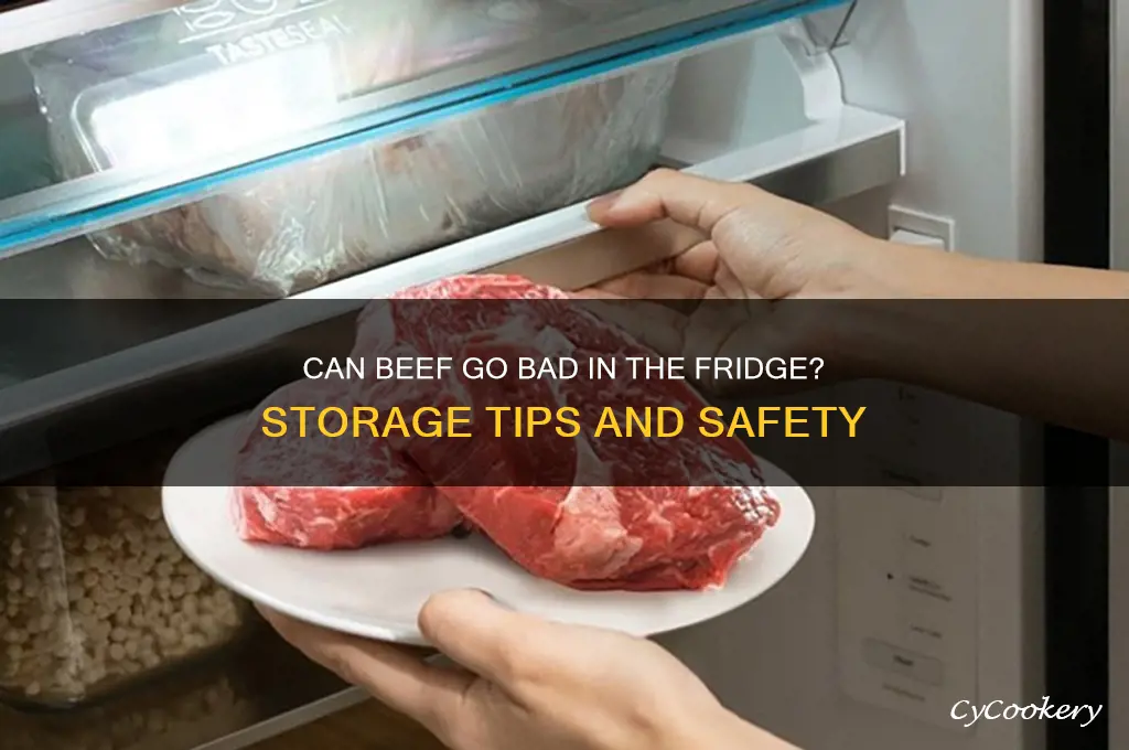 can beef go bad in the refrigerator