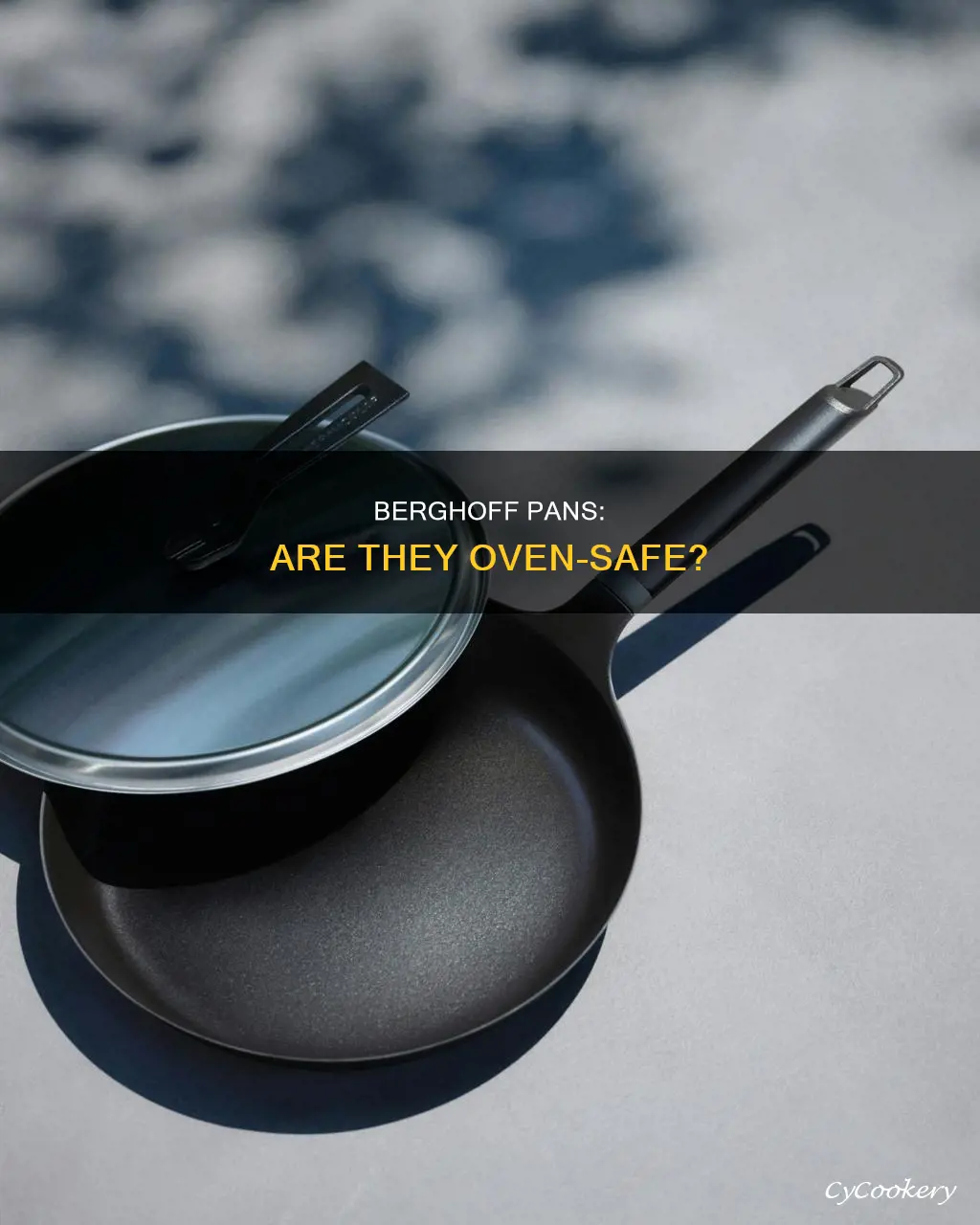 can berghoff pans go in the oven