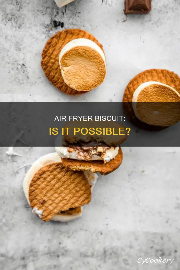 can biscuit in air fryer