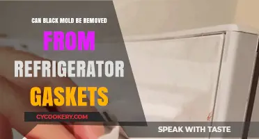 Effective Ways to Remove Black Mold from Refrigerator Gaskets
