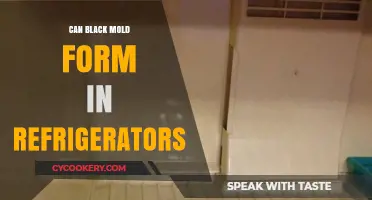 Can Black Mold Grow in Your Fridge? Prevention and Removal Tips