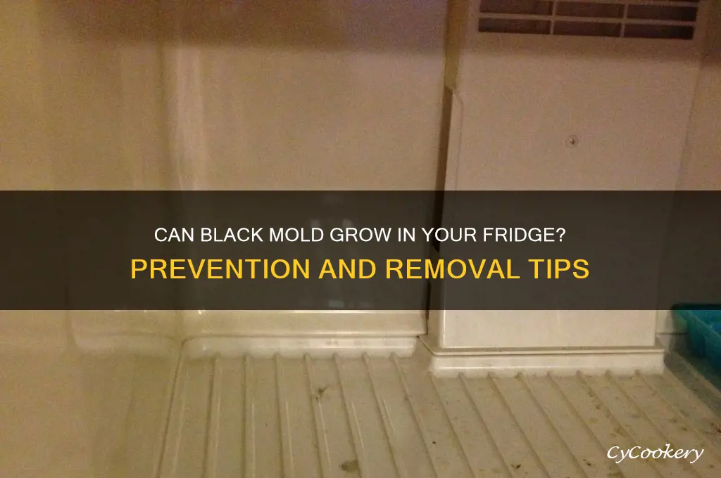 can black mold form in refrigerators