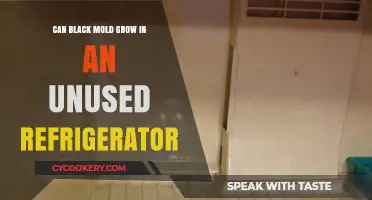 Can Black Mold Thrive in Your Unused Refrigerator? Find Out Here