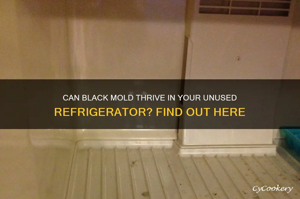 can black mold grow in an unused refrigerator
