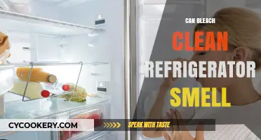 Using Bleach to Eliminate Persistent Refrigerator Odors: Does It Work?