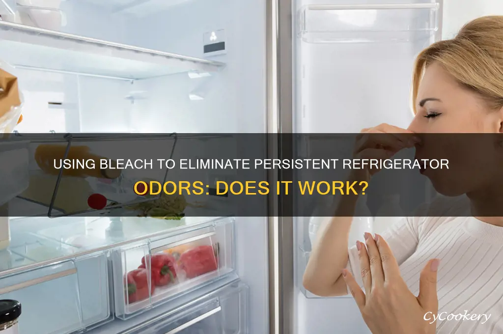 can bleach clean refrigerator smell