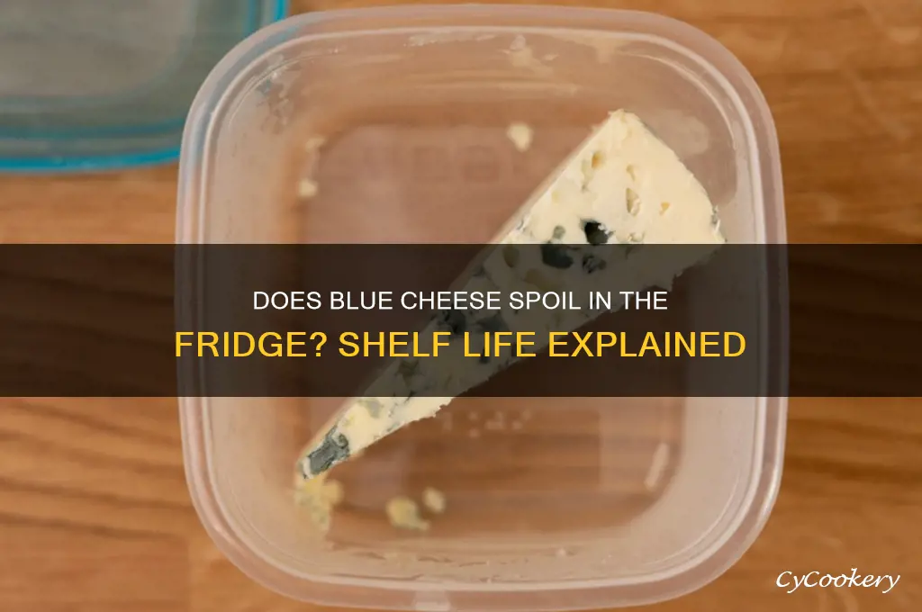 can blue cheese go bad in the refrigerator