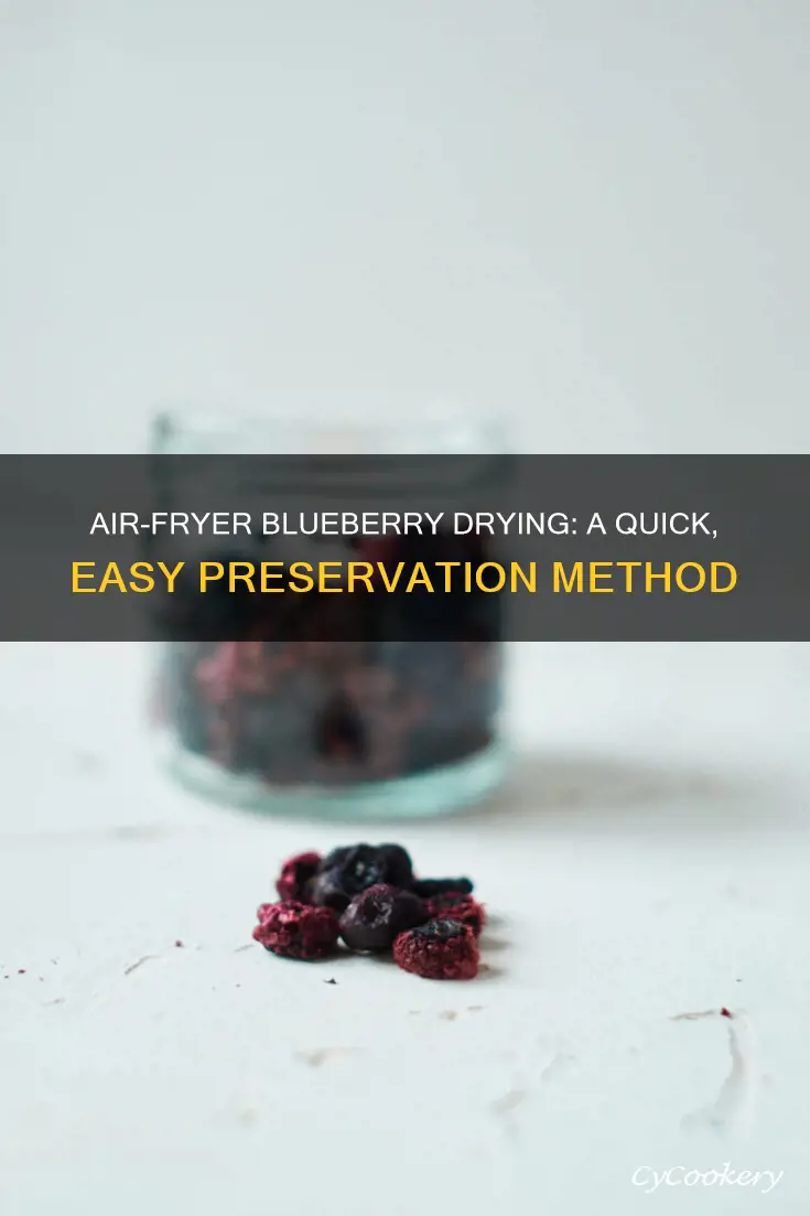 can blueberries be dried in air fryer