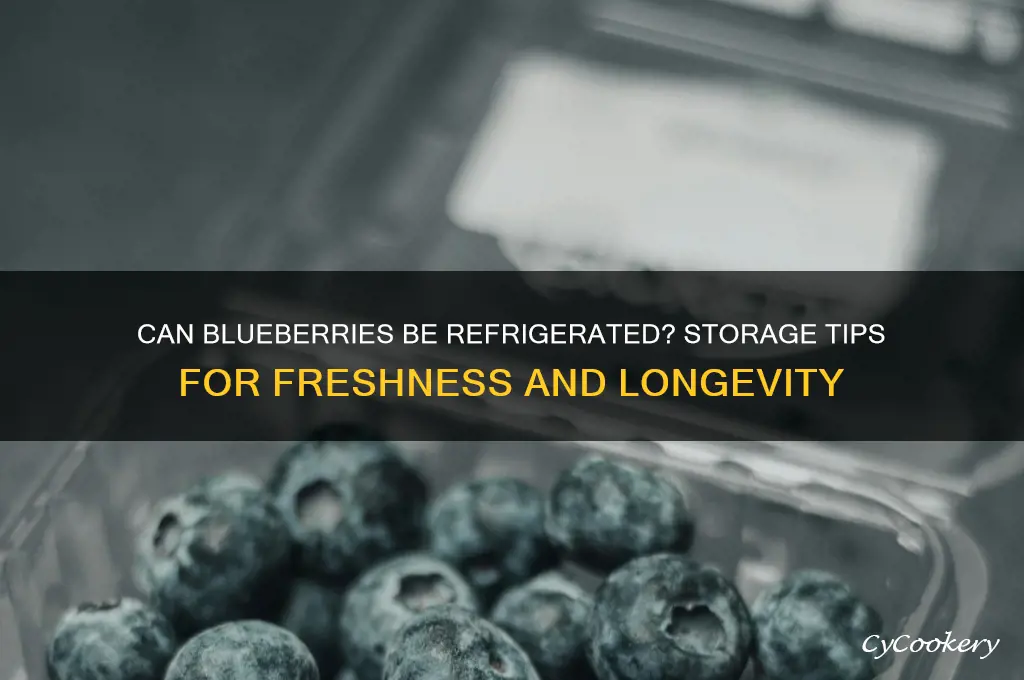 can blueberries be refrigerated