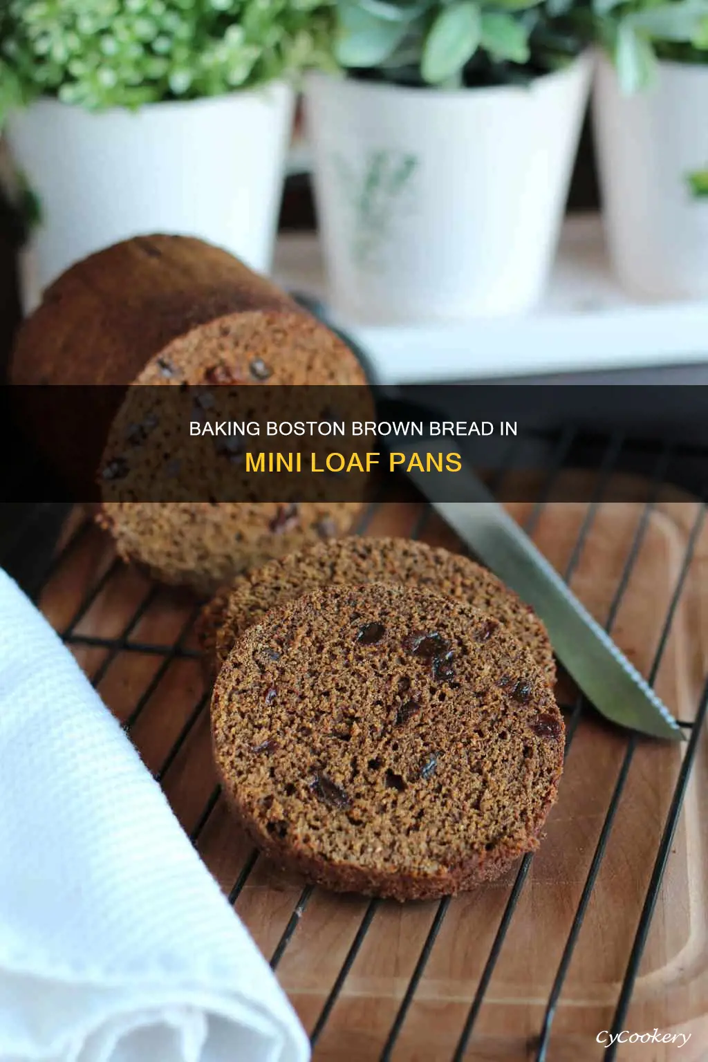 can boston brown bread be baked in mini loaf pans