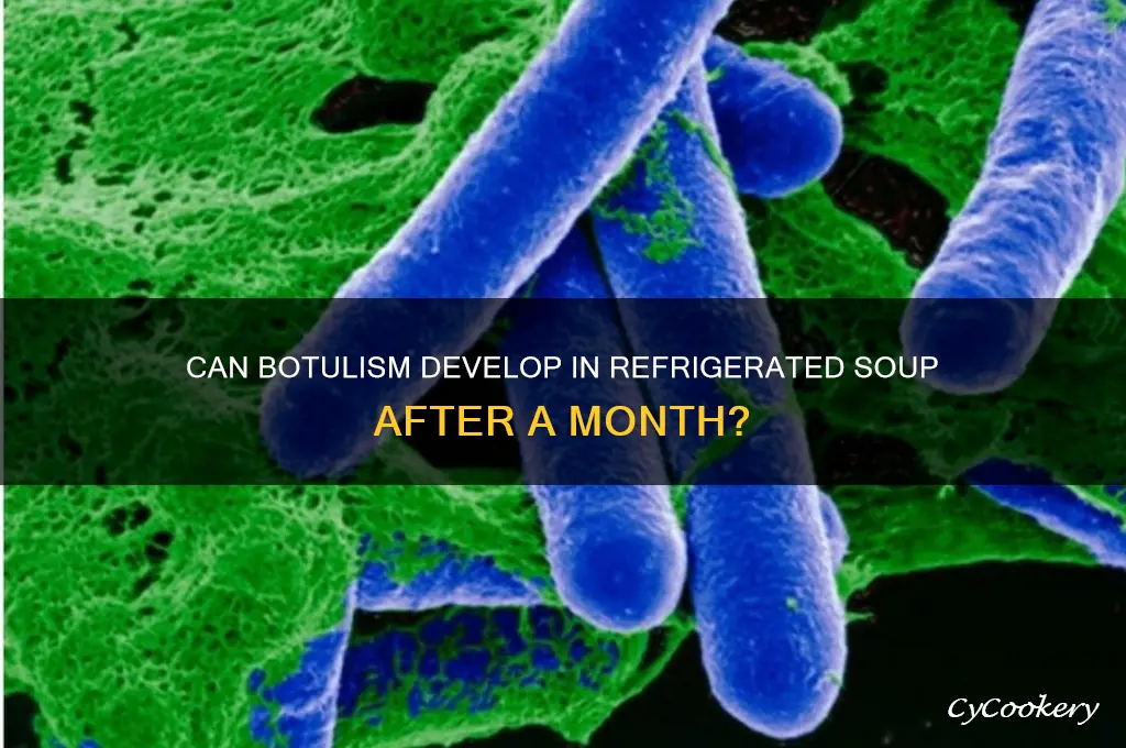 can botulism grow in refrigerated food soup after a month