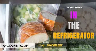 Does Bread Mold in the Fridge? Facts and Prevention Tips