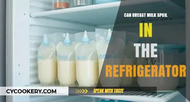 Does Breast Milk Go Bad in the Fridge? Storage Tips Revealed