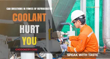 Breathing Refrigerator Coolant Fumes: Health Risks and Safety Precautions